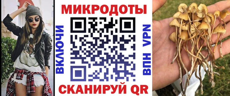 Галлюциногенные грибы ЛСД  ссылка на мегу ссылка  Каменка 