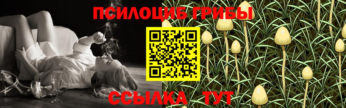 Каменка  Псилоцибиновые грибы Psilocybe  Галлюциногенные грибы MAGIC MUSHROOMS  Вход с VPN 