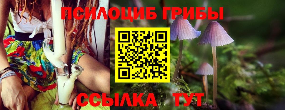 Галлюциногенные грибы MAGIC MUSHROOMS Каменка
