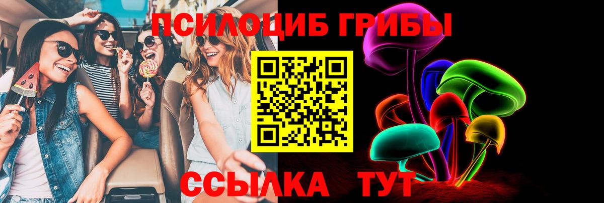 Псилоцибиновые грибы Psilocybe  Каменка  Галлюциногенные грибы мицелий 